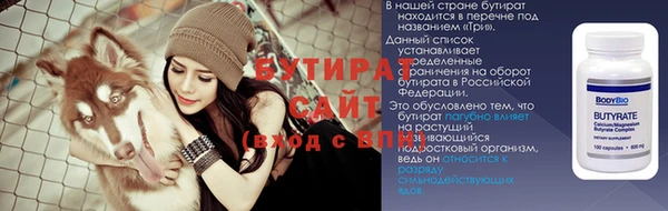сатива Аркадак