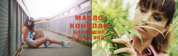 сатива Аркадак