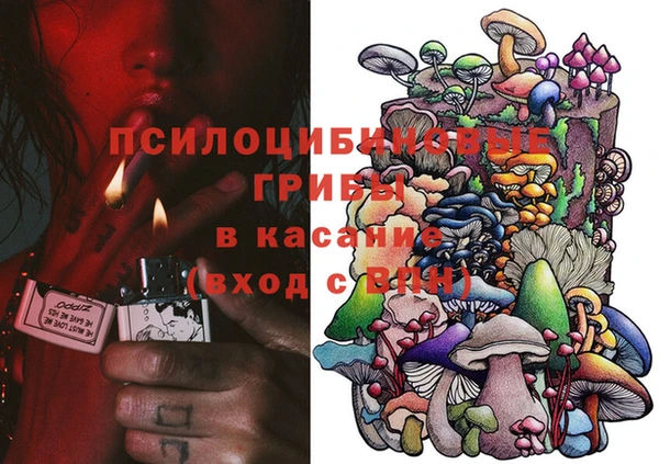 сатива Аркадак