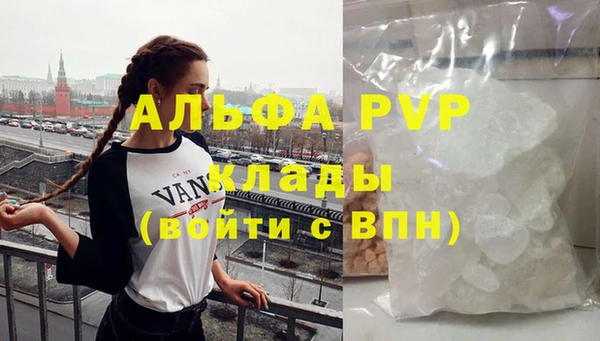 сатива Аркадак