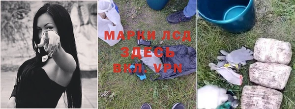 сатива Аркадак
